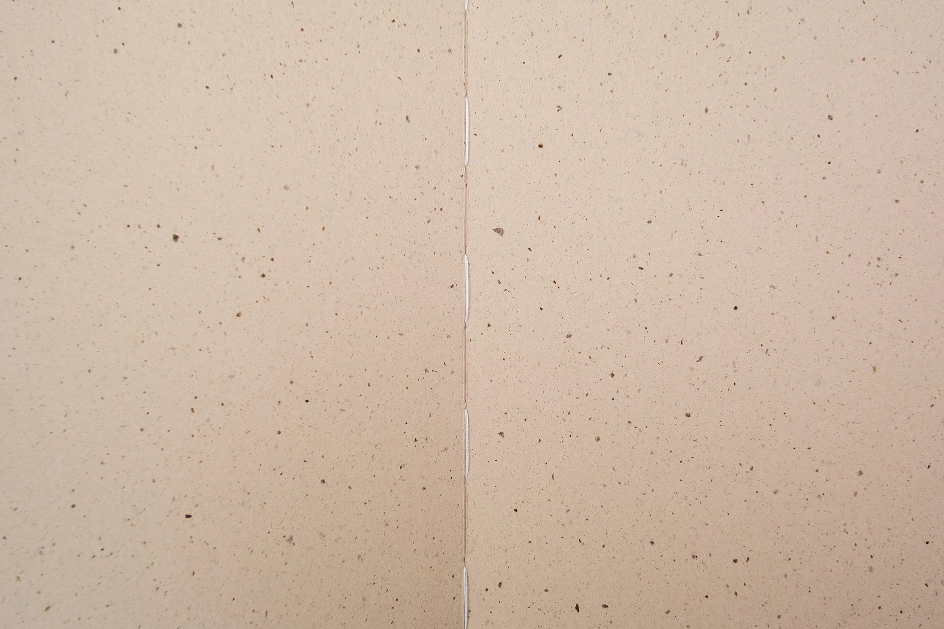 The Infinite Tree (De Eindeloze Boom) - The Eriskay Connection