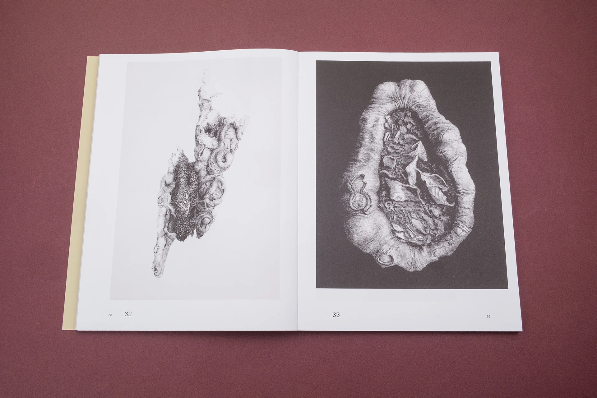 Sharing the Land - The Eriskay Connection