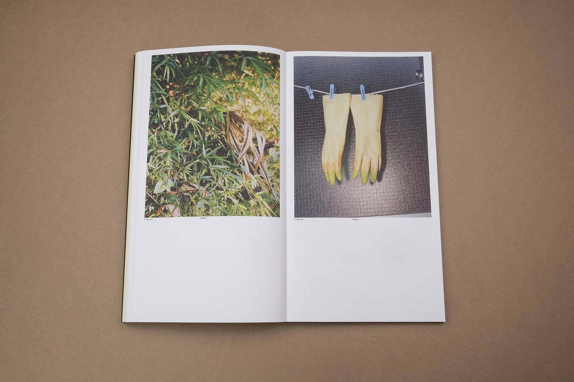 Dead Letter Room – A&nbsp;Transhistorical Correspondence with Hara Tamiki - The Eriskay Connection