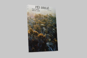 Péi Brilé / Pays brûlé / Burnt Land - The Eriskay Connection Main Product Image