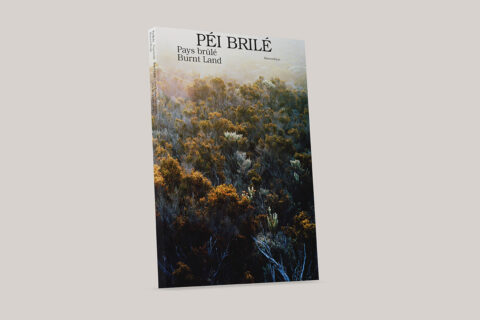 Péi Brilé / Pays brûlé / Burnt Land - Product Image