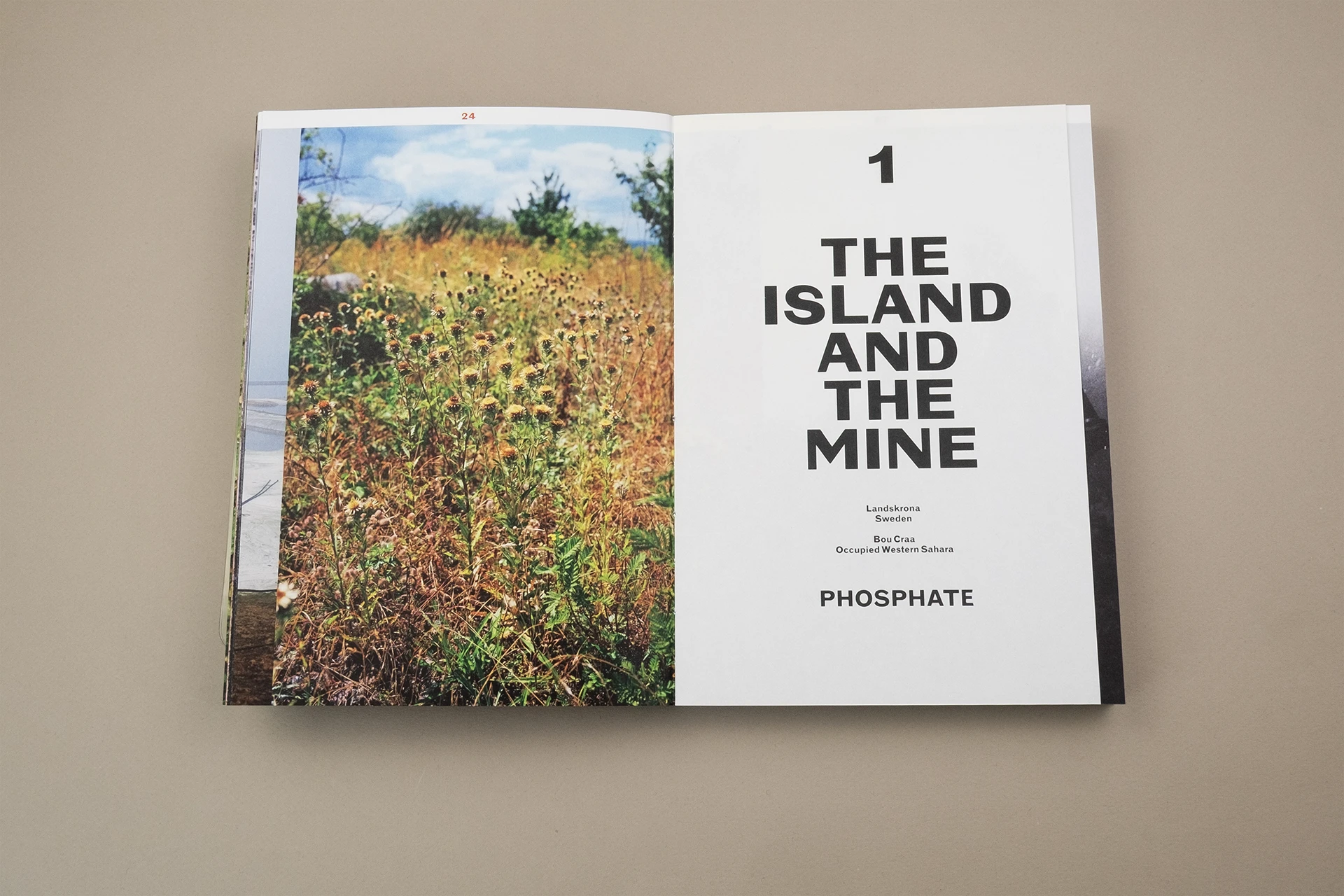 We Eat the Earth – How fertiliser sows inequality, fuels wars & destroys the planet - The Eriskay Connection