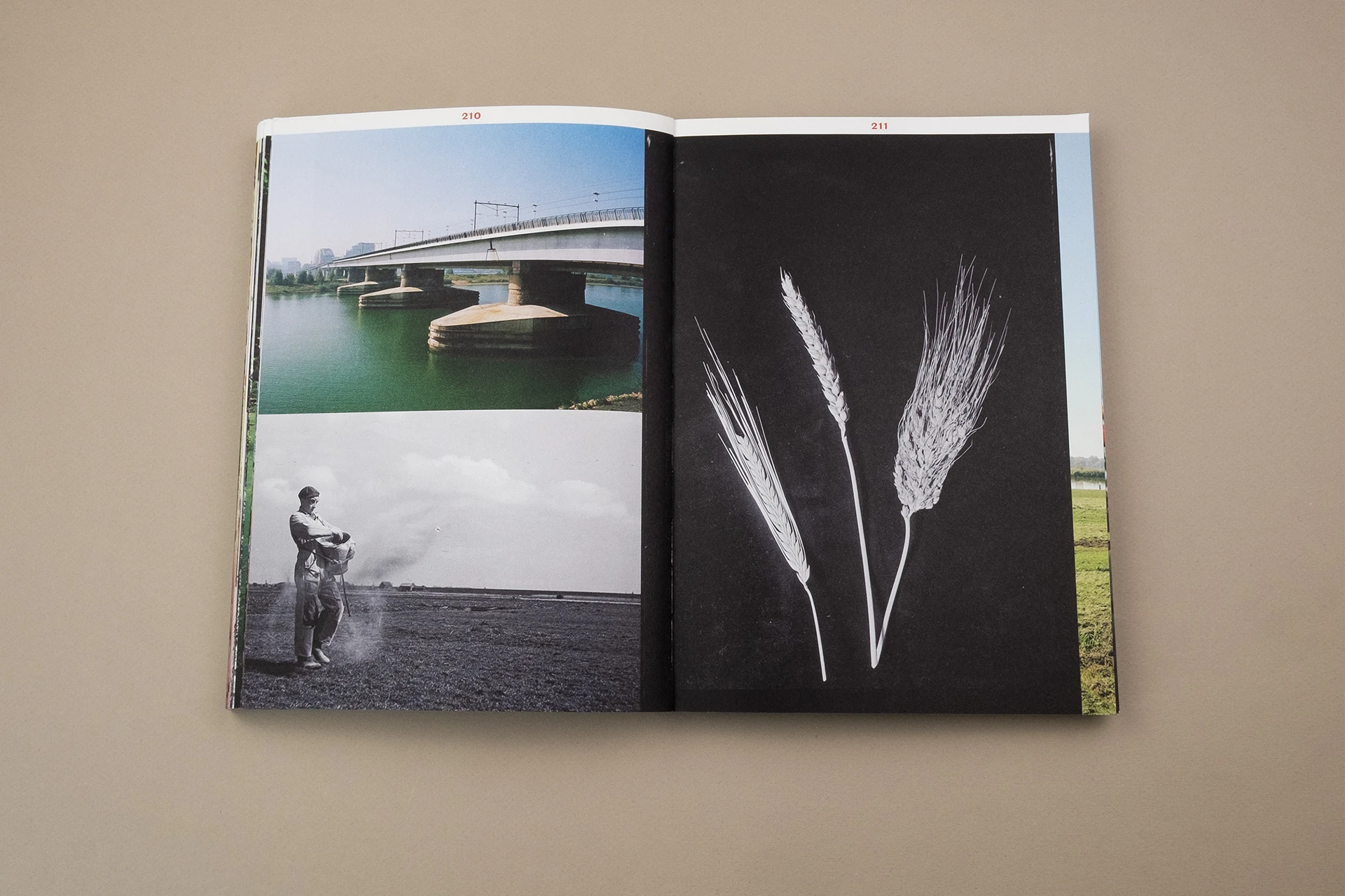We Eat the Earth – How fertiliser sows inequality, fuels wars & destroys the planet - The Eriskay Connection