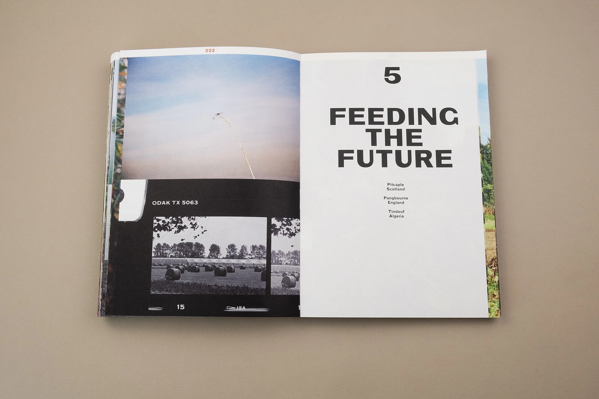 We Eat the Earth – How fertiliser sows inequality, fuels wars & destroys the planet - The Eriskay Connection