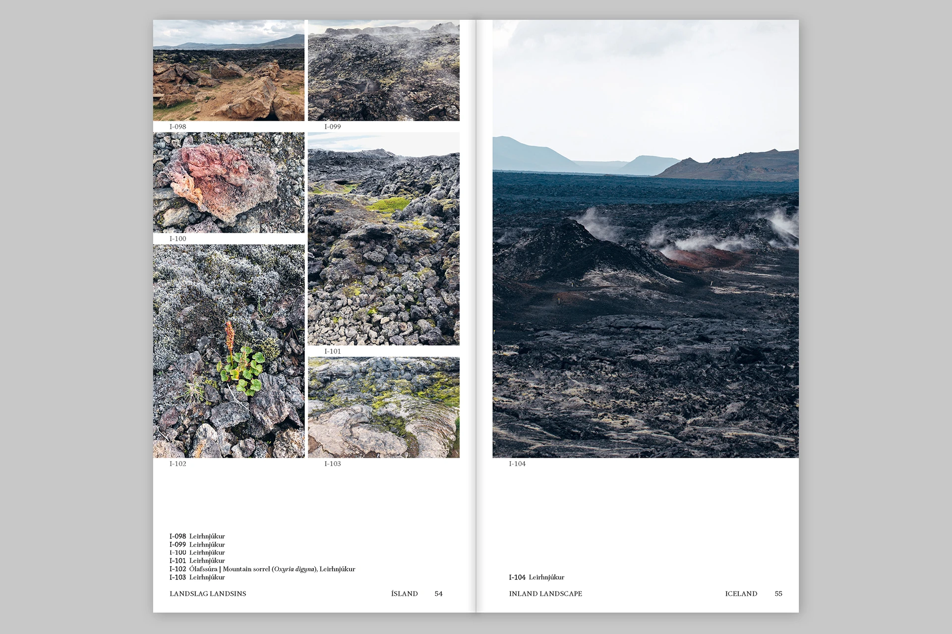 Island Findings – Marine, botanical and other observations from Iceland and Tholen - The Eriskay Connection