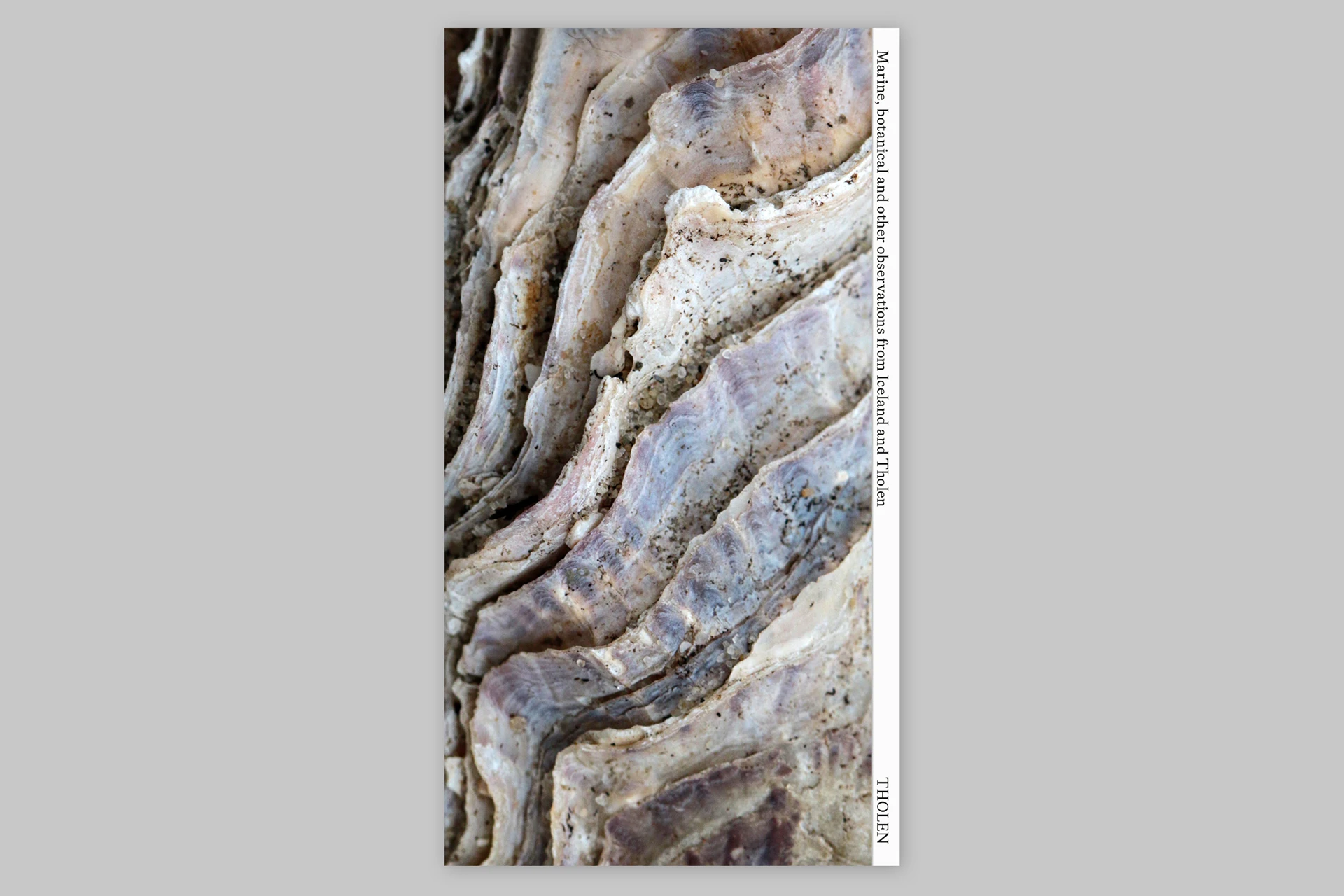 Island Findings – Marine, botanical and other observations from Iceland and Tholen - The Eriskay Connection