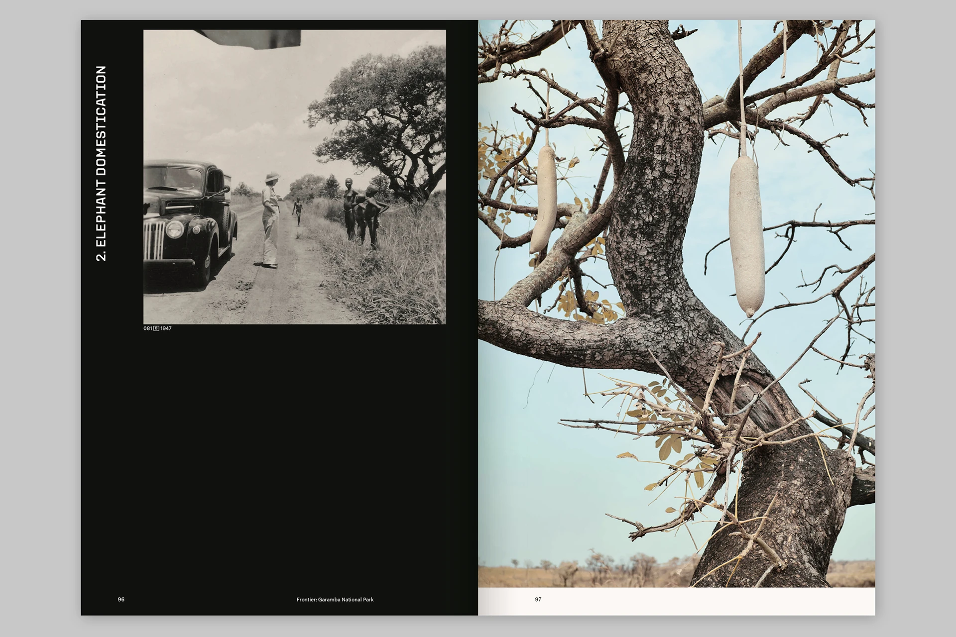 Frontier: Garamba National Park – The struggle for nature at the edge of the state - The Eriskay Connection