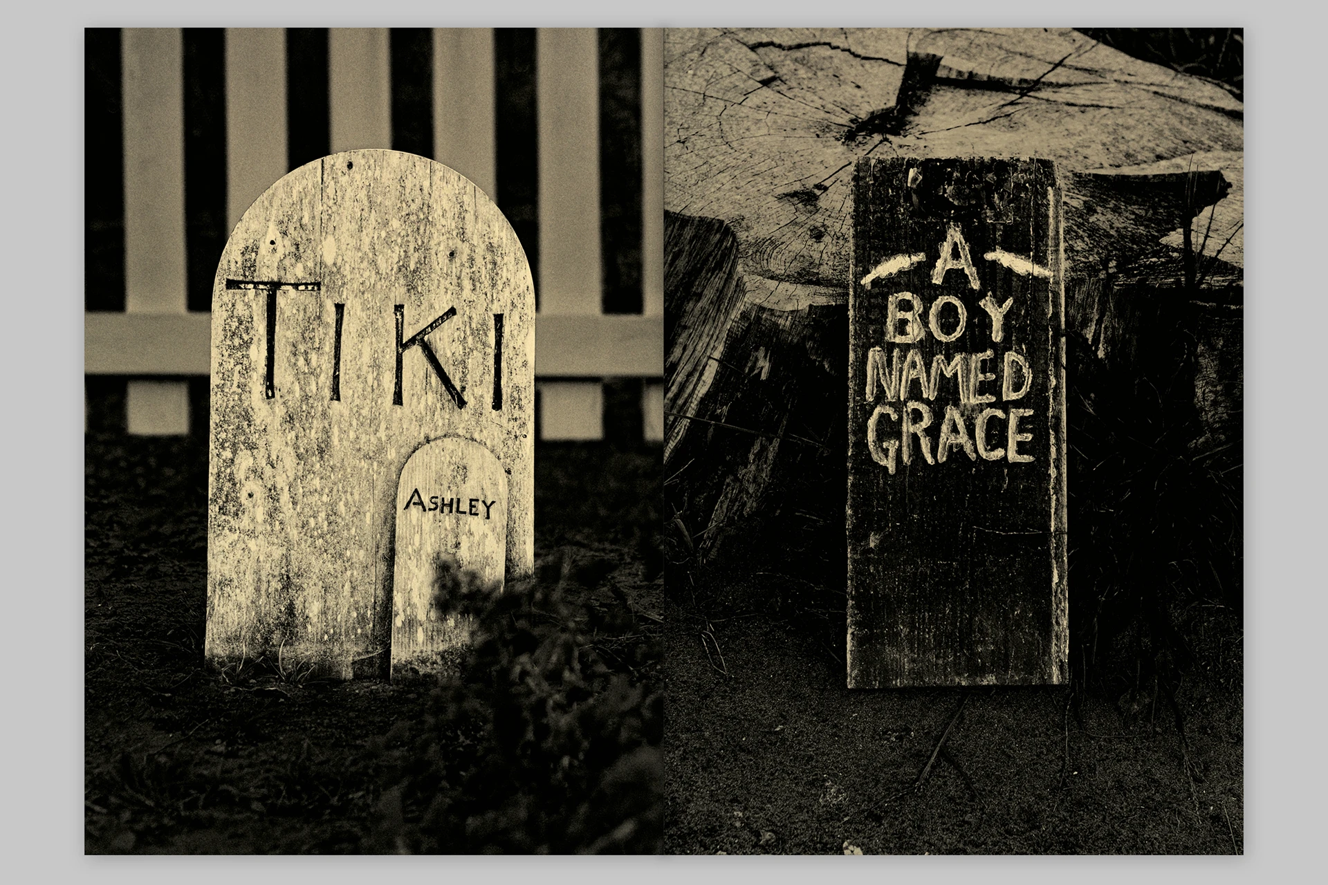 Trouble. He was no trouble – Presidio Pet Cemetery of San Francisco - The Eriskay Connection
