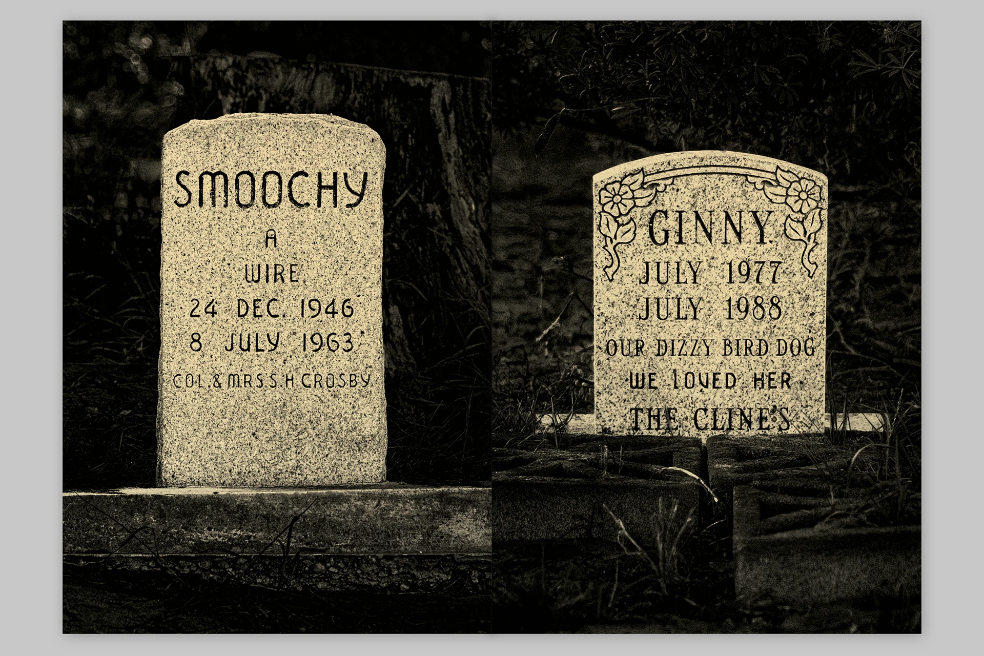 Trouble. He was no trouble – Presidio Pet Cemetery of San Francisco - The Eriskay Connection