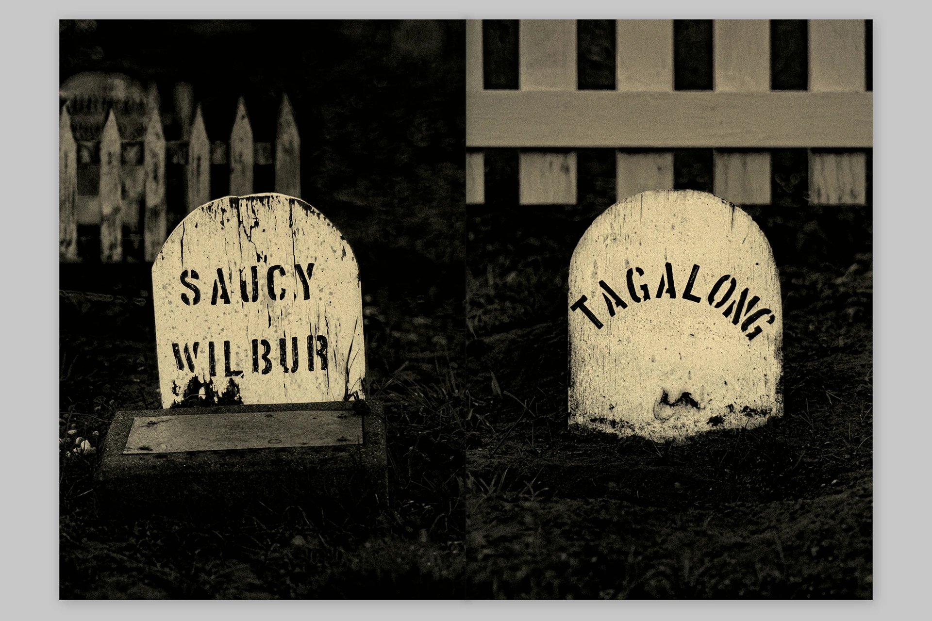 Trouble. He was no trouble – Presidio Pet Cemetery of San Francisco - The Eriskay Connection