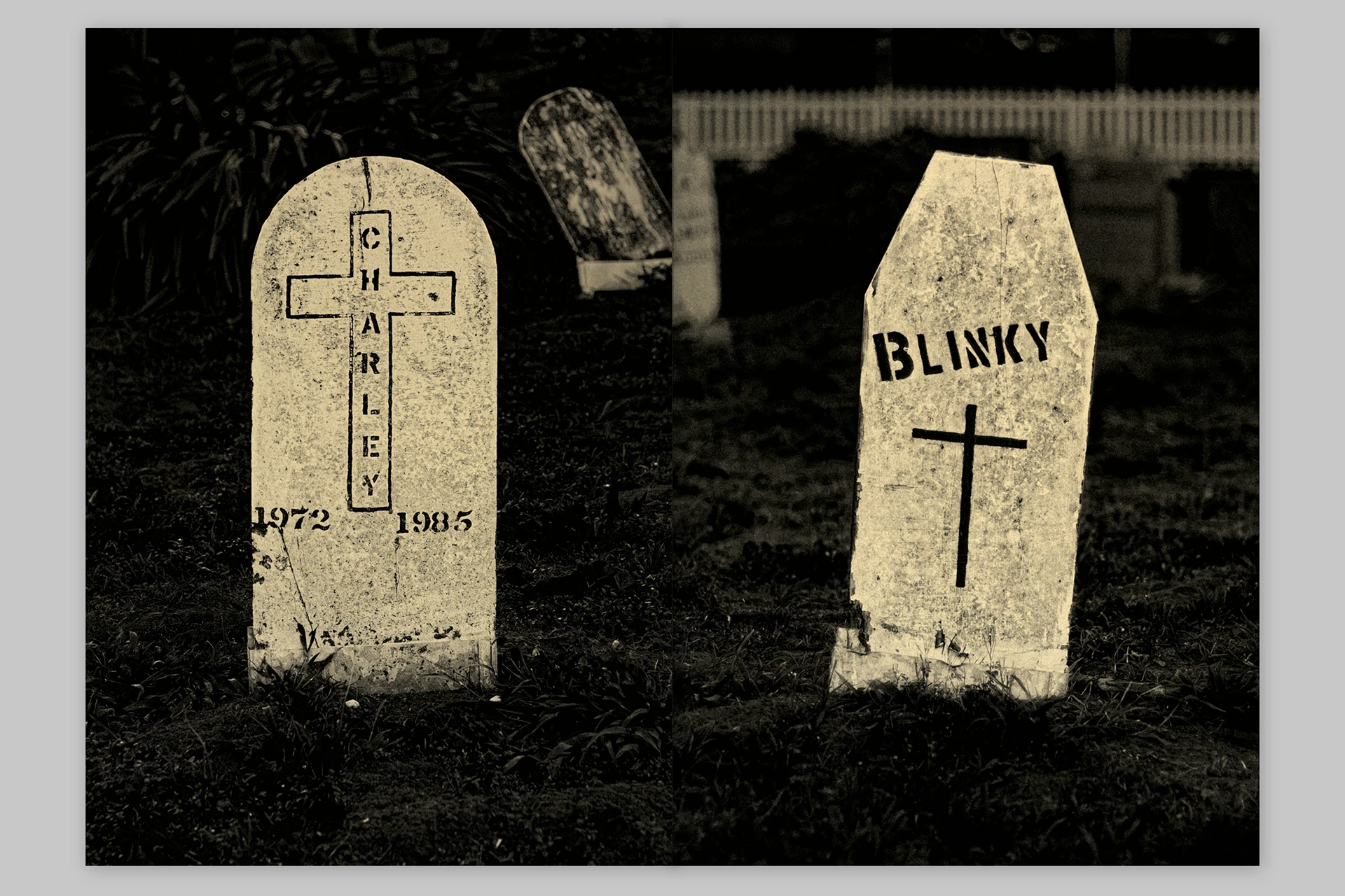 Trouble. He was no trouble – Presidio Pet Cemetery of San Francisco - The Eriskay Connection